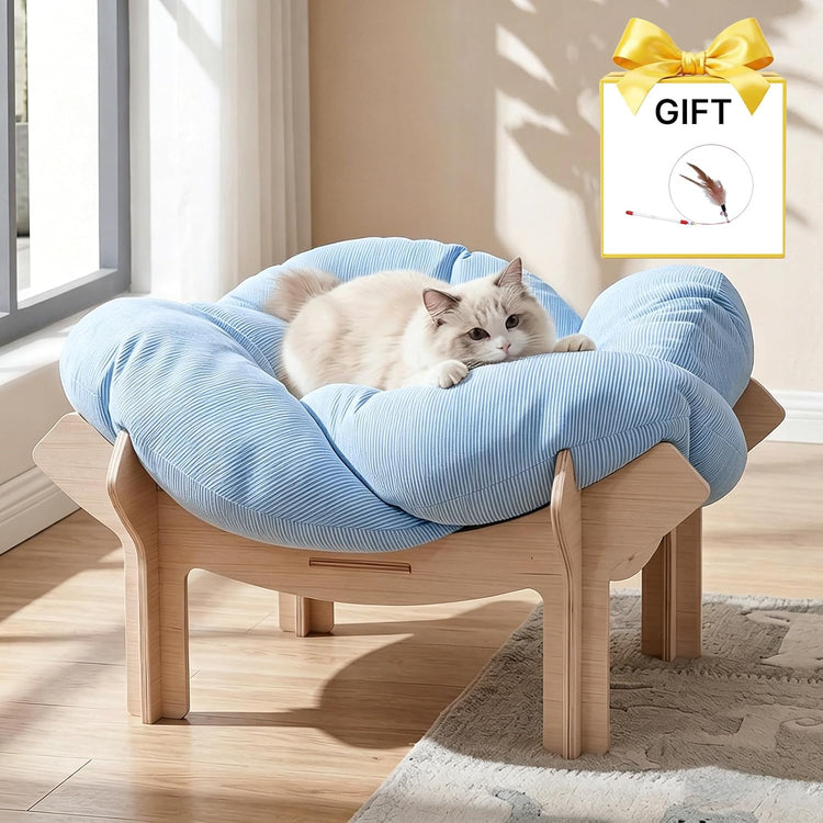 Pet Bed，Large Flower-Shaped Pet Bed for Cats & Small Dogs - Solid Wood Base, Modern Luxury High-Leg Pet Sofa with Removable Mattress, Indoor Lounge, Easy to Assemble, Space-Saving Design