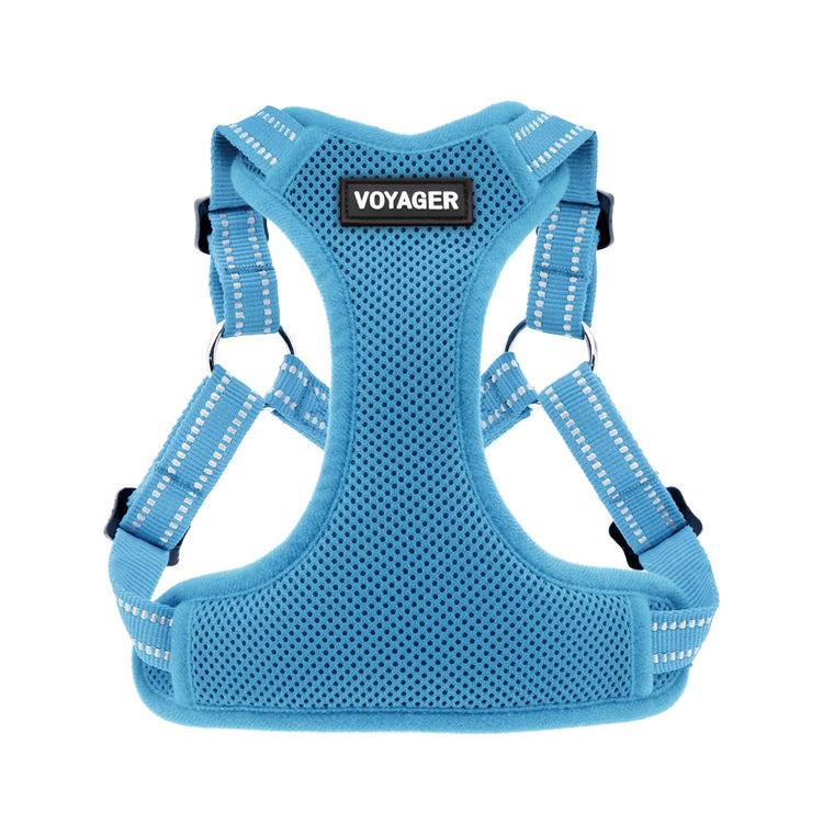 Best Pet Supplies Voyager Adjustable Step-in Flex Breathable Mesh Dog Harness for Small Medium Large Dogs Leash Set (Purple), M