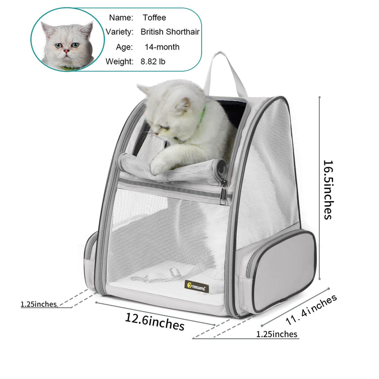 Texsens Innovative Traveler Bubble Backpack Pet Carriers for Cats and Dogs (Black)