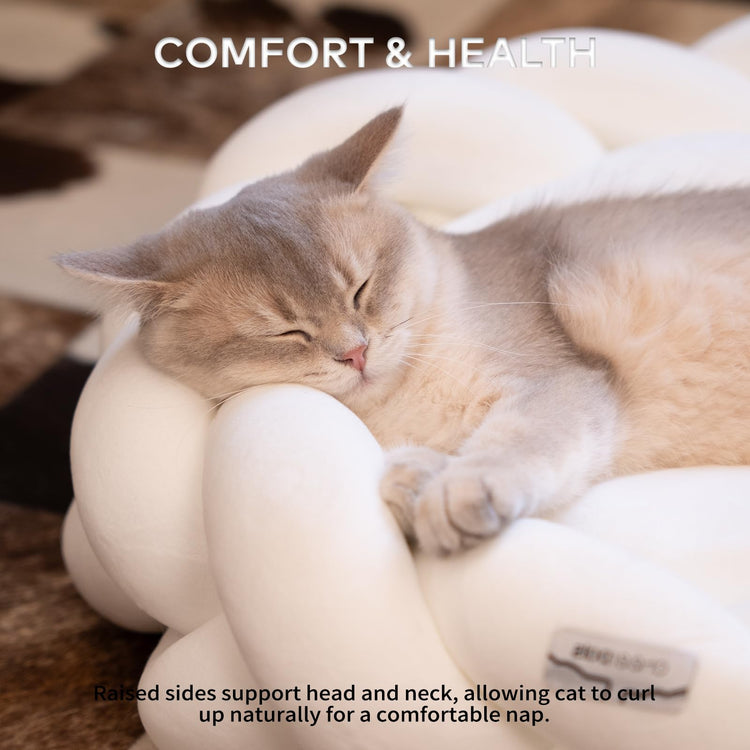 CHEERPALS Weave Cat Bed for Indoor Cats,Cute Pet Bed with Washable Cushion Fluffy Kitty Bed for Small Dog(Dark Gray)