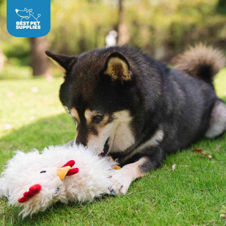 Best Pet Supplies Interactive Squeaky Dog Chew Toy, Ideal Dog Toys for Chewers, Small, Medium & Large Dogs, and Fetch Lovers - Crinkle Duck (Light Pink), Large