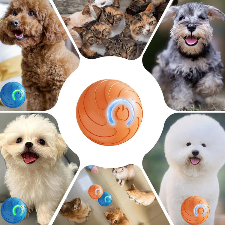 Interactive Dog Toys,Active Moving Pet Plush Toy,2026 New shaking dog ball pig dog toy Interactive Dog Ball with song Squeaky Moving Dog Ball Toy,Rechargeable Toys to Keep Them Busy Dog Toys(Blue Pig)
