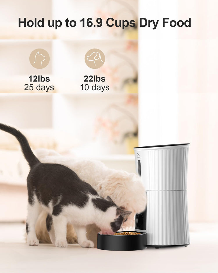 Petory Timed Automatic Cat Feeders - 4L Programable Dry Food Dispenser for Cats and Small Medium Dogs 6 Meals with Desiccant Bag Dual Power Supply 10S Voice Recorder