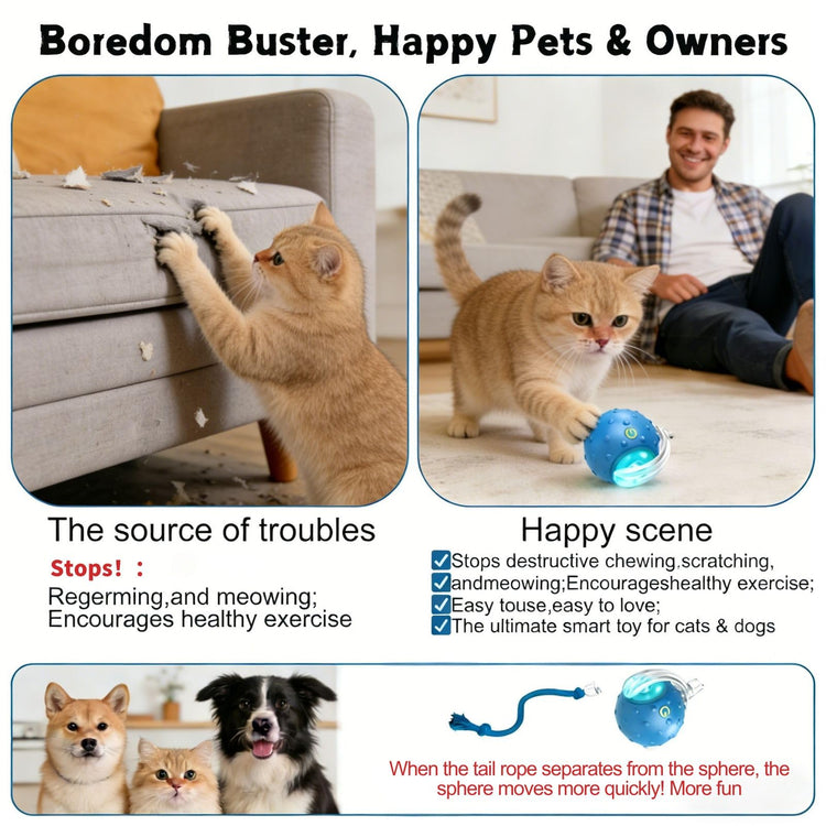 2PCS Interactive Cat Toys Ball, Tiny Fetch Interactive Dog Cat Toy Ball - 360° Automatic Scrolling with Birdsong, Smart Obstacle Avoidance, Rechargeable Boredom Buster for Pets (Blue+Red)