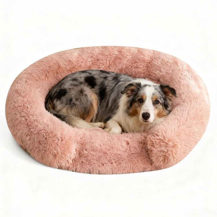 Orthopedic Dog Bed with Egg-Crate Base, Calming Dog & Cat Beds Long Plush with Raised Edges, Spine Friendly Pet Sleeping Mat for Small Medium Dogs, Machine Washable (Oval, Beige 26"x20")