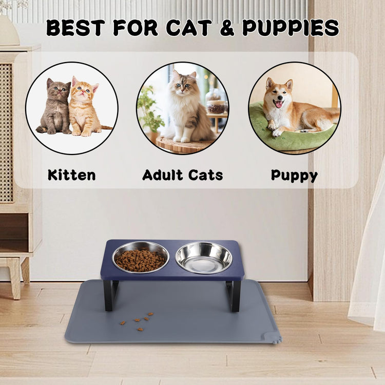 Upgraded Elevated Cat Bowls with Food Mat,15°Tilted Stand Anti Vomiting Raised Cat Dishes for Food and Water,2 Stainless Steel Bowls for Cats and Puppy