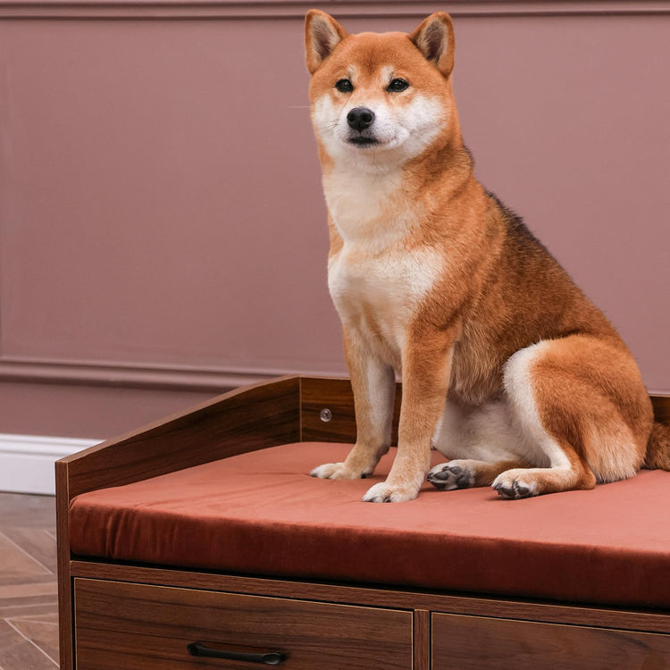 Elevated Dog Beds Frame with Mattress, Raised Wood Pet Bed Sofa Indoor for Large Medium Small Dogs Cats (Brown)
