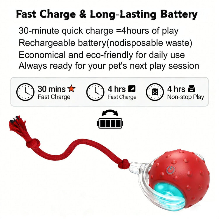 2PCS Interactive Cat Toys Ball, Tiny Fetch Interactive Dog Cat Toy Ball - 360° Automatic Scrolling with Birdsong, Smart Obstacle Avoidance, Rechargeable Boredom Buster for Pets (Blue+Red)