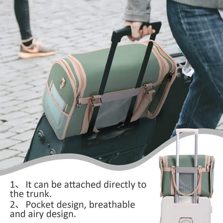 Luxury Mint Green PU Leather Pet Carrier Bag, Airline Compliant Portable Travel Crate with Breathable Mesh Panels & Shoulder Strap for Cats Small Dogs Travel & Vet Use