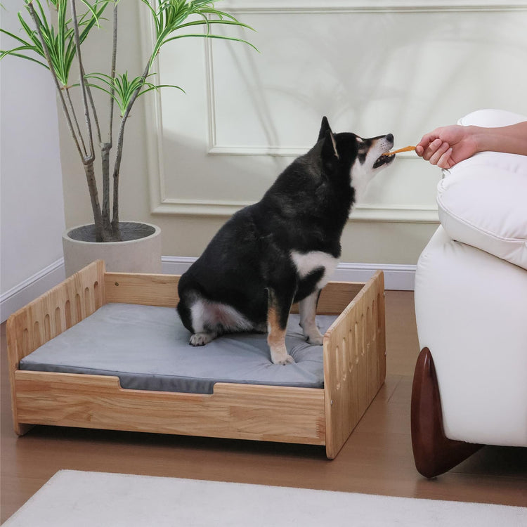 Elevated Dog Beds Frame with Mattress, Raised Wood Pet Bed Sofa Indoor for Large Medium Small Dogs Cats (Brown)