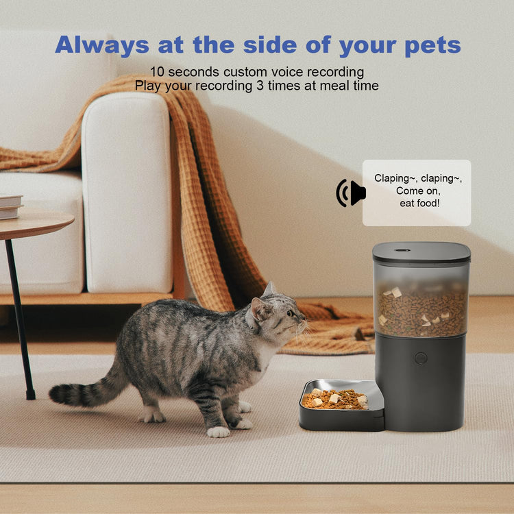 ANDOLL HOME Automatic Cat Feeder, 4L Cat Food Dispenser with 10s Voice Recorder, Pet Feeder up to 8 Meals per Day, Timed Dog Feeder with Dry Food Sealed Ring