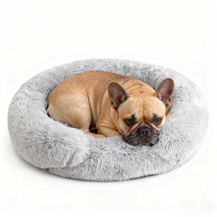 Orthopedic Dog Bed with Egg-Crate Base, Calming Dog & Cat Beds Long Plush with Raised Edges, Spine Friendly Pet Sleeping Mat for Small Medium Dogs, Machine Washable (Oval, Beige 26"x20")