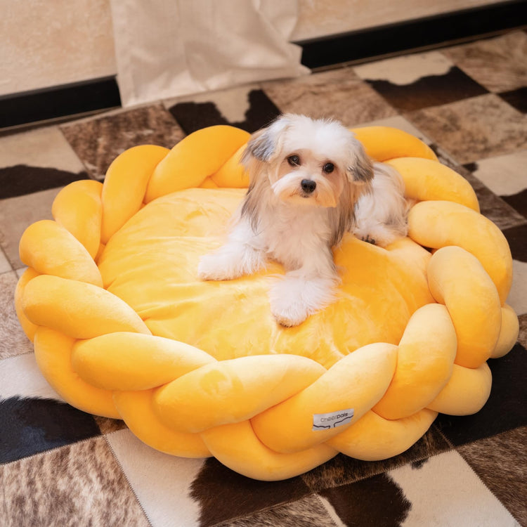 CHEERPALS Weave Cat Bed for Indoor Cats,Cute Pet Bed with Washable Cushion Fluffy Kitty Bed for Small Dog(Dark Gray)