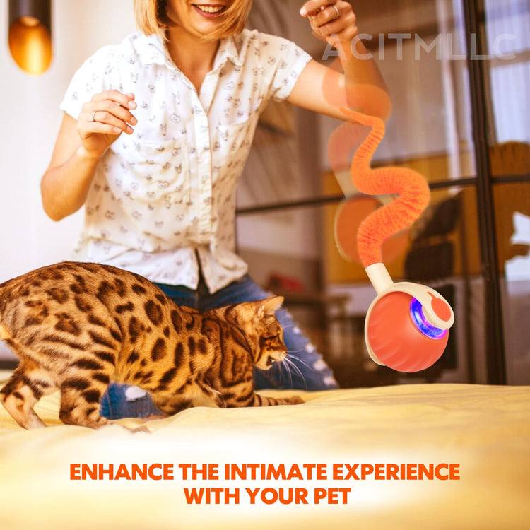 Interactive Cat & Dog Toy Ball, Automatic Moving/Jumping/Bouncing, Smart Pet Chase Ball with Feather Tail, Electric Rechargeable Enrichment Toys for Indoor Bored Cats & Small Dogs (Orange)