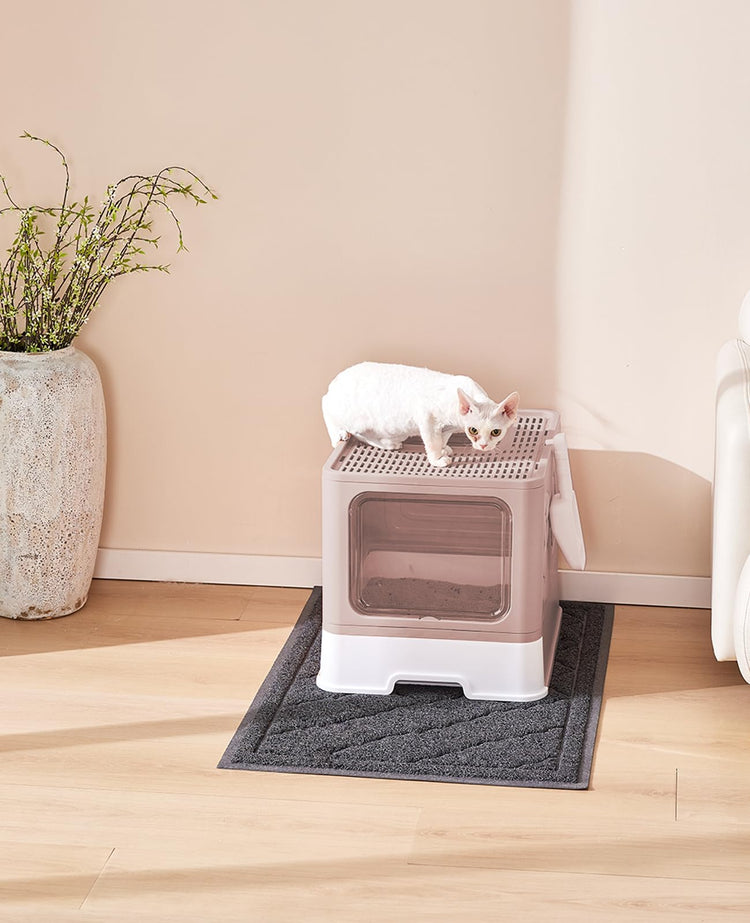 Medario Cat Litter Box with Litter Mat and Scoop, Large Covered Litter Box with Lid, Enclosed Kitty Box, Front Entry Top Exit, Odor Control, Easy to Clean (Grey)