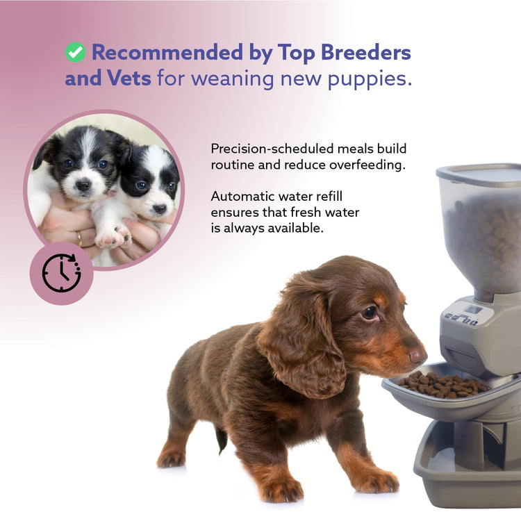 Feeding Friend® Automatic Dog & Cat Food Feeder with Water Dispenser –Smart Pet Feeder with Portion Control, OLED Display, Anti Jam Design, Battery Operated Dispenser for Small - (XS) Pets 4-15 Taupe