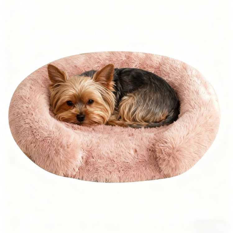Orthopedic Dog Bed with Egg-Crate Base, Calming Dog & Cat Beds Long Plush with Raised Edges, Spine Friendly Pet Sleeping Mat for Small Medium Dogs, Machine Washable (Oval, Beige 26"x20")