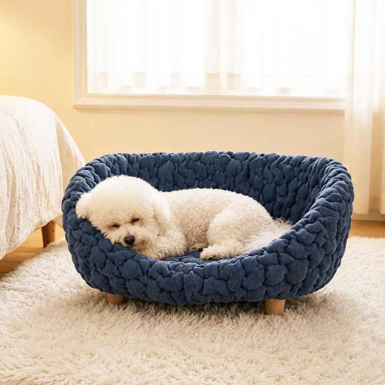 halinfer Modern Pet Sofa for Small to Medium Cats and Dogs, Up to 20 Pounds, Living Room and Bedroom Pet Furniture Bed