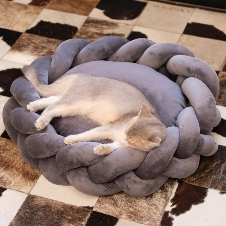 CHEERPALS Weave Cat Bed for Indoor Cats,Cute Pet Bed with Washable Cushion Fluffy Kitty Bed for Small Dog(Dark Gray)