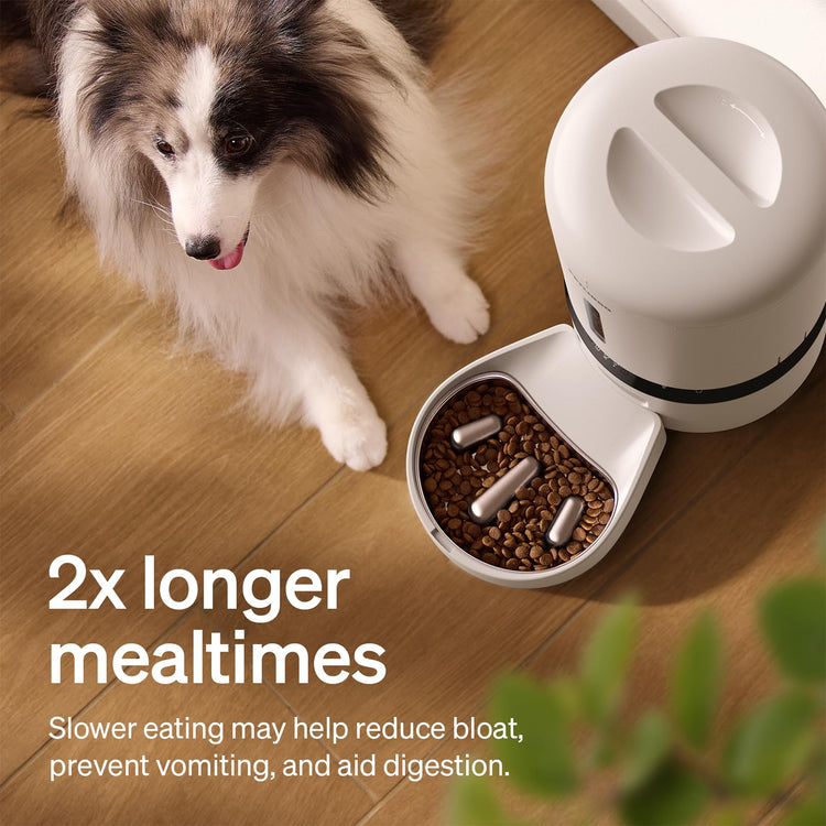 PETLIBRO Automatic Cat Feeder, 5G WiFi Automatic Pet Feeder with Freshness Preservation, 3L Timed Cat Feeders for Dry Food, Up to 48 Portions 10 Meals Per Day, Granary Pet Feeder for Cat/Dog, White