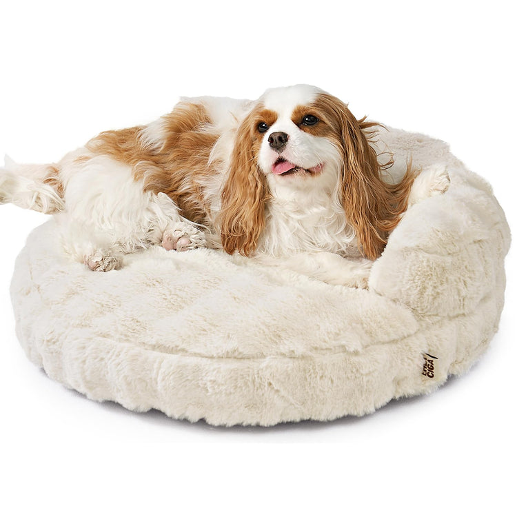 EHEYCIGA Soft Cat Couch Bed for Indoor Cats, Fluffy Small Dog Bed with Removable Washable Cover, Bolster Pet Sofa, Waterproof and Non-Slip, 23" x 23"x 7", Cream
