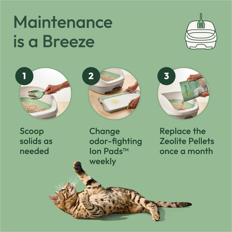 Purina Tidy Cats Litter Box System, BREEZE System Starter Kit Litter Box, Litter Pellets & Pads