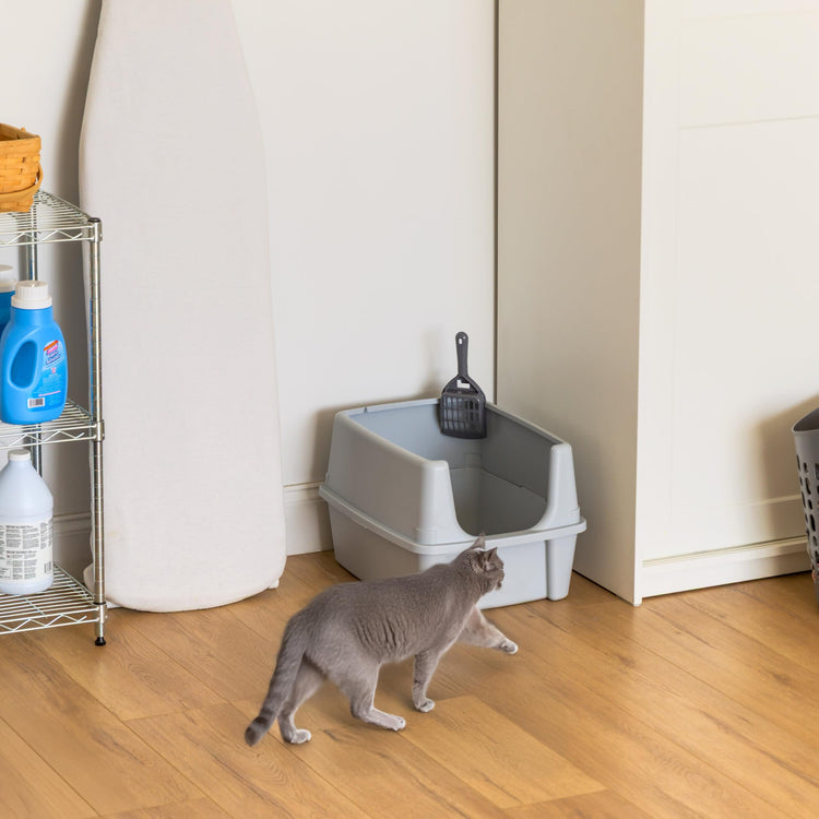 IRIS USA Cat Litter Box Large Open Top with High Sided Walls Tall Scatter Shield Scoop Included Easy Clean Plastic Pan Stain Resistant for Big Cats Kittens Indoor Multi-Cat Households