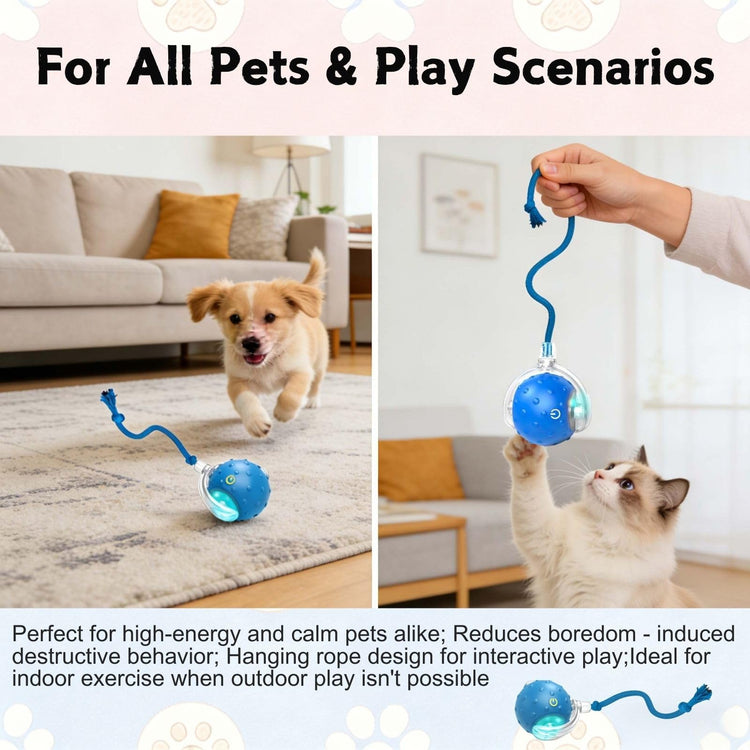 2PCS Interactive Cat Toys Ball, Tiny Fetch Interactive Dog Cat Toy Ball - 360° Automatic Scrolling with Birdsong, Smart Obstacle Avoidance, Rechargeable Boredom Buster for Pets (Blue+Red)