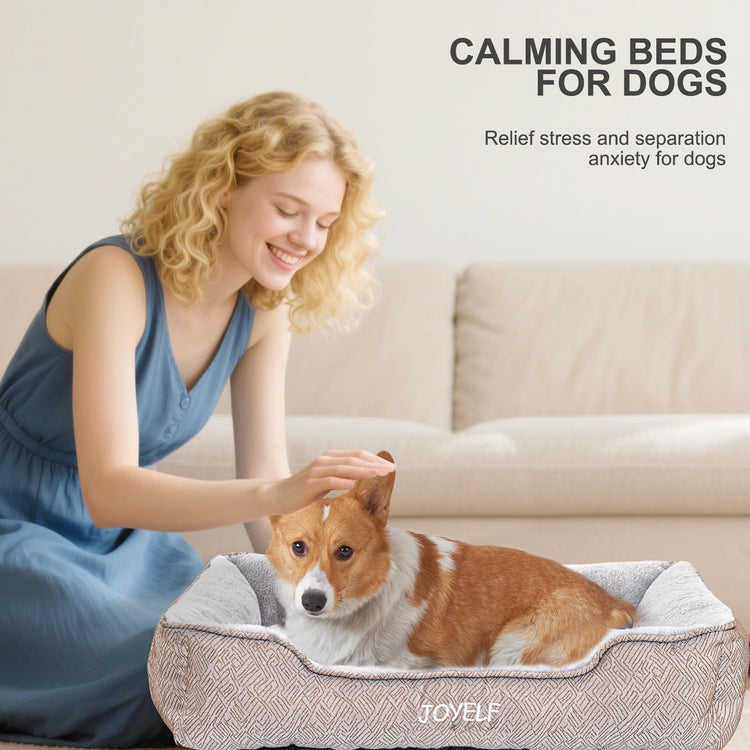 JOYELF Rectangle Dog Bed Calming Cat Bed Sofa, Cute Fluffy Pet Couch Bed for Medium Dogs and Cats - Medium(Upgraded Version)