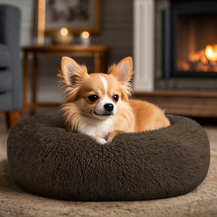 Hoewina Dog & Cat Bed for Indoor Cats, 20in Calming Donut Bed for Puppy and Kitten, Washable Round Fluffy Pet Bed for Small Medium Dogs and Cats (Light Grey)