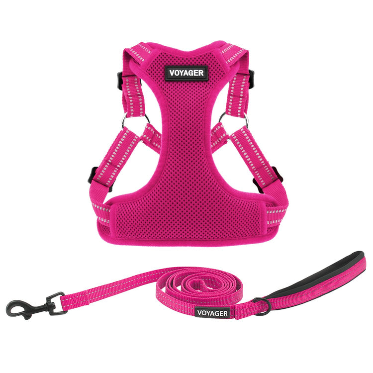 Best Pet Supplies Voyager Adjustable Step-in Flex Breathable Mesh Dog Harness for Small Medium Large Dogs Leash Set (Purple), M