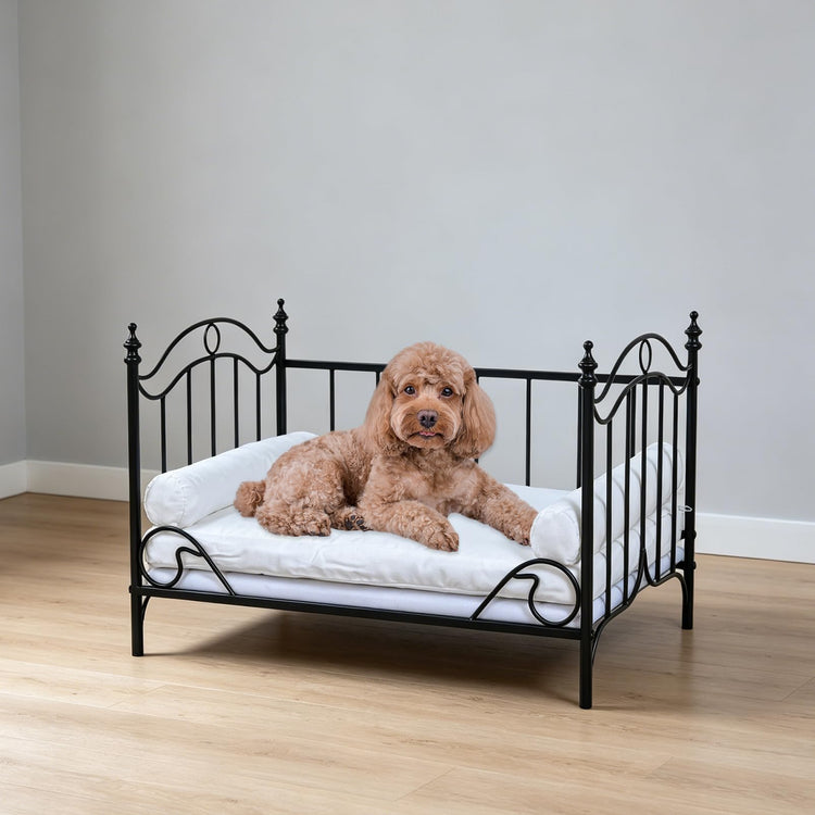 Pet Sofa Bed, Cat Bed,Dog Bed,Cat Couch,Pet Couch,Metal Frame and Detached Velvet Cushion，Cool Dog Couch for Small Cats &Dogs&Puppy Summer Using (White)