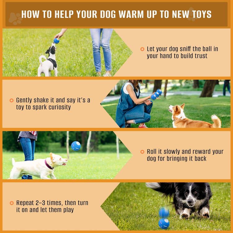 PetDroid Interactive Dog Toys Dog Ball, [Newly Upgraded] Durable Motion Activated Automatic Rolling Ball Toys for/Small/Medium/Large Dogs,USB Rechargeable(Orange)