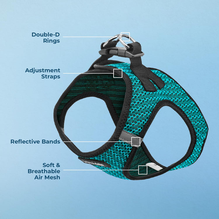 Best Pet Supplies - All Weather Mesh / Plush, Reflective, No Pull Harness for Small, Medium Dogs, Cats - Secure with Hook & Loop Fastener, Buckle, Double D-Rings - Baby Blue/Black Trim, XL