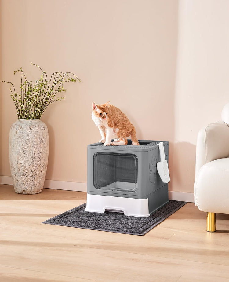 Medario Cat Litter Box with Litter Mat and Scoop, Large Covered Litter Box with Lid, Enclosed Kitty Box, Front Entry Top Exit, Odor Control, Easy to Clean (Grey)