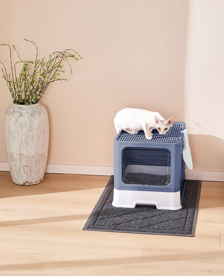 Medario Cat Litter Box with Litter Mat and Scoop, Large Covered Litter Box with Lid, Enclosed Kitty Box, Front Entry Top Exit, Odor Control, Easy to Clean (Grey)