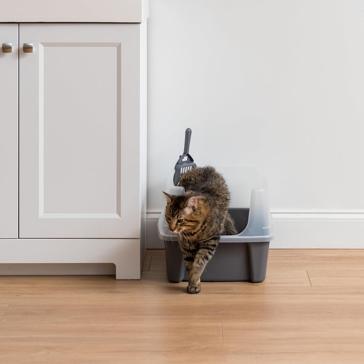 IRIS USA Cat Litter Box Large Open Top with High Sided Walls Tall Scatter Shield Scoop Included Easy Clean Plastic Pan Stain Resistant for Big Cats Kittens Indoor Multi-Cat Households