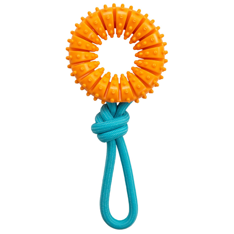 Cutie Chewies Hedgehog Dental Dog Chew Toy — Multi-Textured, Massages Gums, Floats & Bounces for Teething Puppies & Small Dogs, 5" x 3.5" x 1"