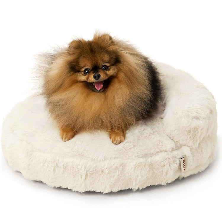 EHEYCIGA Soft Cat Couch Bed for Indoor Cats, Fluffy Small Dog Bed with Removable Washable Cover, Bolster Pet Sofa, Waterproof and Non-Slip, 23" x 23"x 7", Cream