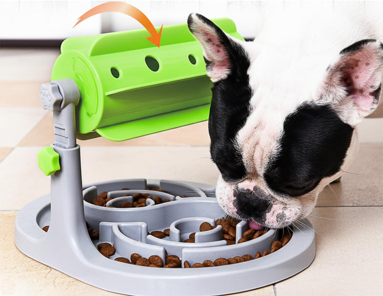 Pet Feeding Solution Automatic Cat & Dog Cafe Feeder and Water Dispenser in Set with Food Scoop - Ito Rocky 6-Meal Automatic Food Dispenser for Small/Middle Puppy and Kitten
