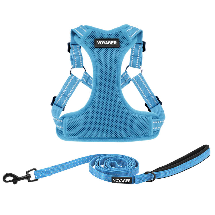 Best Pet Supplies Voyager Adjustable Step-in Flex Breathable Mesh Dog Harness for Small Medium Large Dogs Leash Set (Purple), M