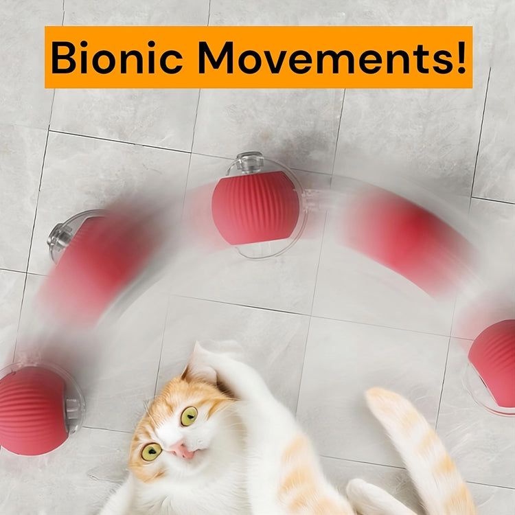 Purrmitive 2026 Durable Interactive Cat Toys for Indoor Cats, Dog Toys Ball, Rolling Pet Ball, Smart Automatic Cat Chase Balls Toy, Interactive Dog Toys Speedy Tail,Kitten & Cat Toys Interactive (Red)