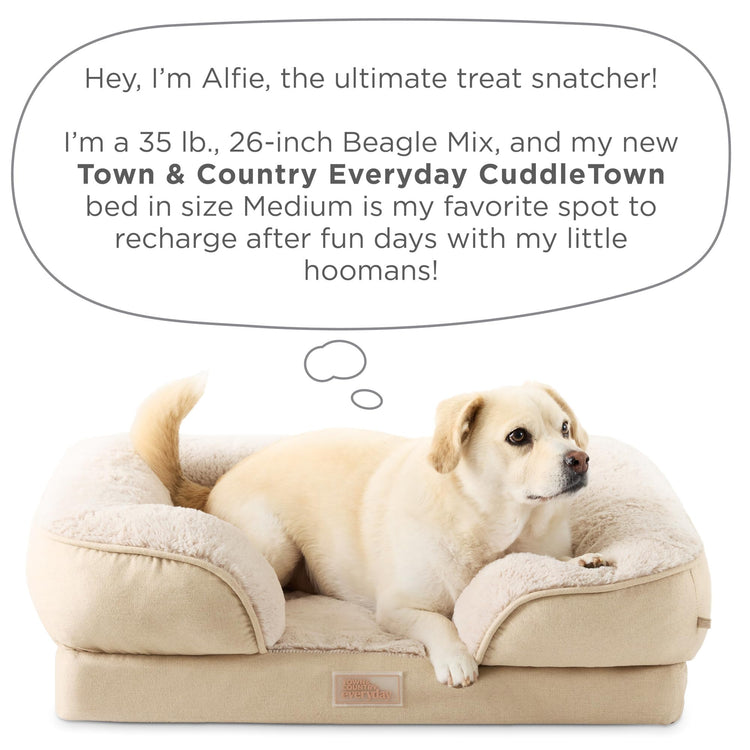 Town & Country Everyday CuddleTown Comfy Solid Bolster Sofa Pet Bed, Supportive & Calming Egg Crate Foam, Non-Slip Bottom, Machine Washable Cover, Grey, Medium 28"x23"x8"