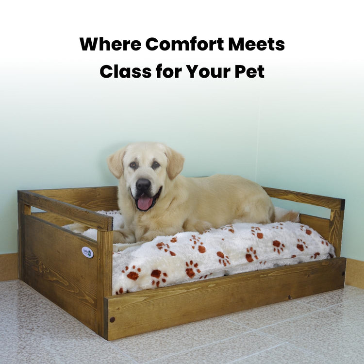 Iconic Pet Sassy Paws Wooden Pet Bed with Paw Printed Comfy Cushion for Dogs & Cats in Varying Sizes & Colors, Small-Rustic Brown