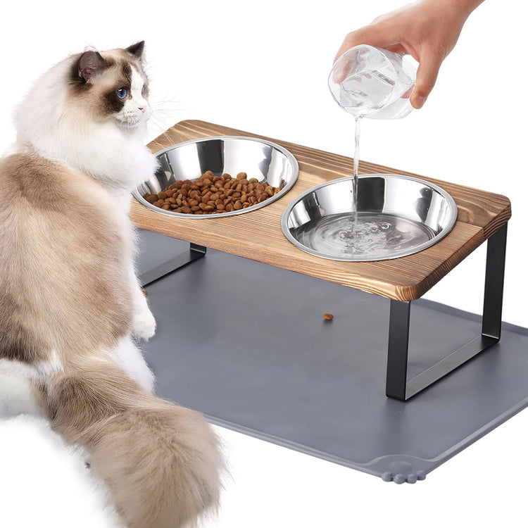 Upgraded Elevated Cat Bowls with Food Mat,15°Tilted Stand Anti Vomiting Raised Cat Dishes for Food and Water,2 Stainless Steel Bowls for Cats and Puppy