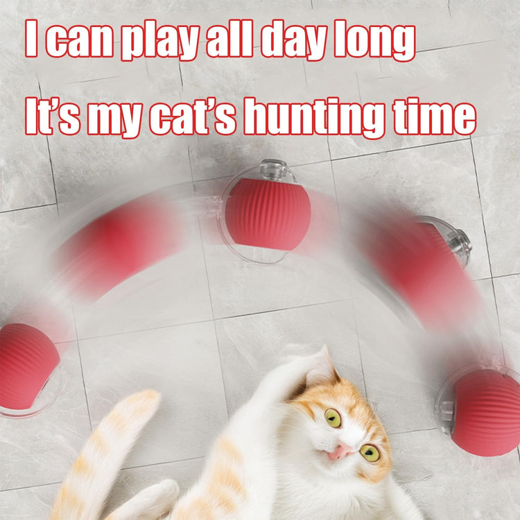 2025 New Interactive Dog Cat Toys Balls,Interactive Rolling Ball Cat Toy, 360° Smart Automatic Rolling Pet Ball, Fast Moving Toy for Dog and Cat(Green)