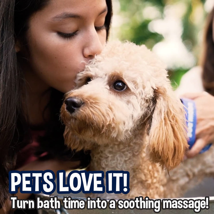 Bodhi Dog Shampoo Brush - Pet Grooming & Bath Supplies for Dogs and Cats - Bath Brush for Long & Short Hair - Premium Scrubber for Shower, Bathing & Massage (One Pack, Silver Glitter)