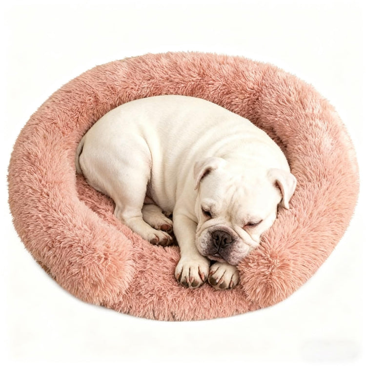 Orthopedic Dog Bed with Egg-Crate Base, Calming Dog & Cat Beds Long Plush with Raised Edges, Spine Friendly Pet Sleeping Mat for Small Medium Dogs, Machine Washable (Oval, Beige 26"x20")