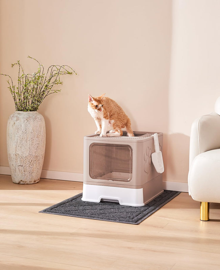 Medario Cat Litter Box with Litter Mat and Scoop, Large Covered Litter Box with Lid, Enclosed Kitty Box, Front Entry Top Exit, Odor Control, Easy to Clean (Grey)
