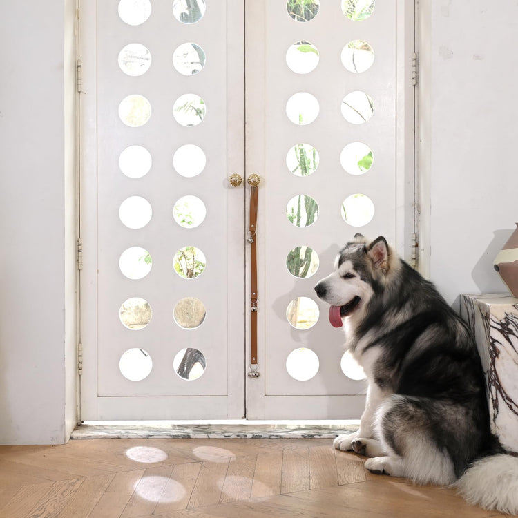 Luckyiren Upgraded Puppy Bells Dog Doorbells for Door Knob/Potty Training/Go Outside-Dog Bells for Puppies Dogs Doggy Doggie Pooch Pet Cat for Dog Lovers-Premium Quality-3 Snaps for Length Adjustment